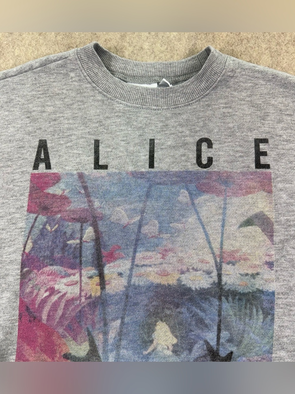 Public Library Alice in Wonderland Graphic Crewneck Cropped Sweatshirt - Gray XS